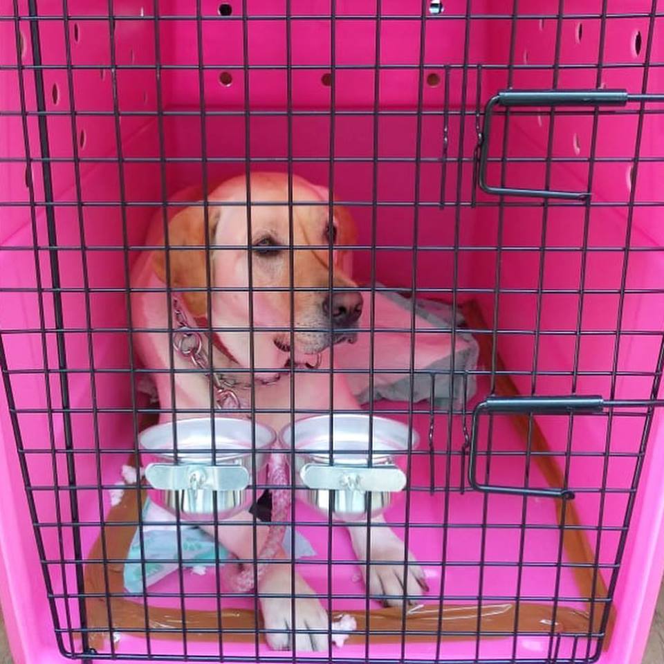 EMBALAGENS ESPECIAIS (PET)